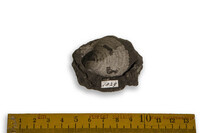 F 01829
<br/>
<br/>
<em></em>